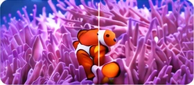Video Upscaler visual
